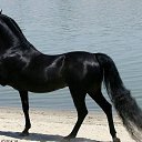 ���� �����, ������ �������� - ��������� 20 ������� 2018 � ������ �������