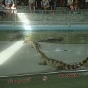 ���� �������, ���������, 53 ���� - ��������� 27 ������� 2018 � ������ ����������� �������.�