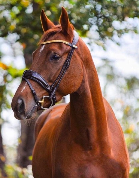  -   ! - 23  2018  16:26