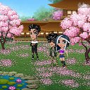   , , 37  -  20  2018   Tropikania