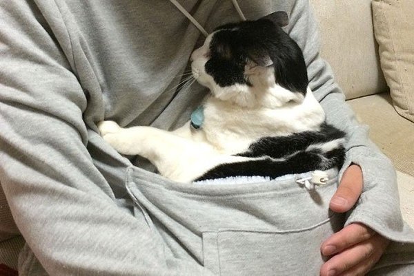 В кенгуруподобном худи вы можете не расставаться со своим котом.Японская компания Unihabitat, ... - 6