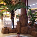 ���� �������, ����, 41 ��� - ��������� 22 ����� 2019 � ������ ���� ����������