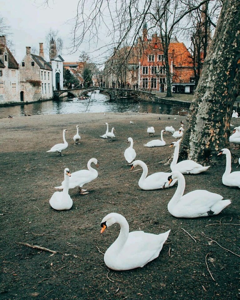 , 