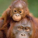 � ����� ������ � �������� . �� ������� ����������