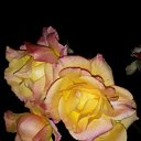 ���� �������, ������ - ��������� 5 ������ 2018 � ������ ���� ����������