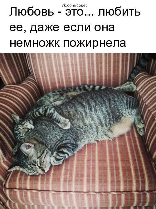   - 8  2019  17:17