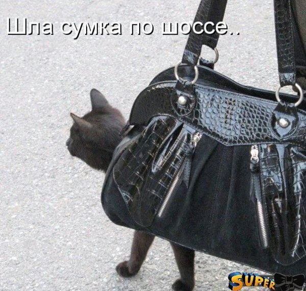    - 22  2018  16:48
