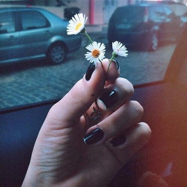 — Твоей ромашке я буду рада больше, чем тысячам роз от другого.