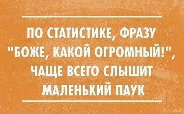 ***Victoria Viktorovna*** - 16 февраля 2019 в 18:33