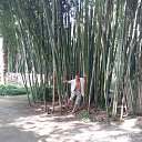 ���� �����, �����, 49 ��� - ��������� 27 �������� 2018 � ������ ���� ����������