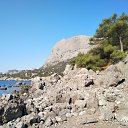 ���� ����, �����-���������, 45 ��� - ��������� 3 �������� 2018 � ������ �����