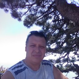 �������, �����������, 54 ����