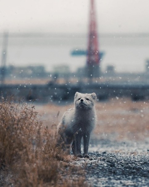 Svalbard, Norway