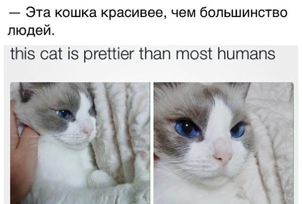 ? ,  ! - 20  2018  16:54