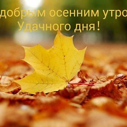 ���, ������, 44 ����