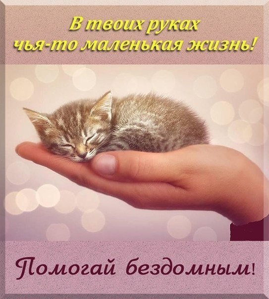    - 6  2018  17:15