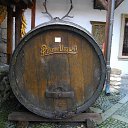  Karel, , 56  -  30  2018   Vlet