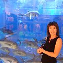 ���� ������, �������� - ��������� 23 ������� 2018 � ������ ���� ����������