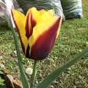 ���� �����, ��������, 58 ��� - ��������� 15 ������ 2019