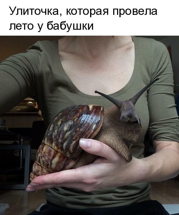   - 2  2018  16:57