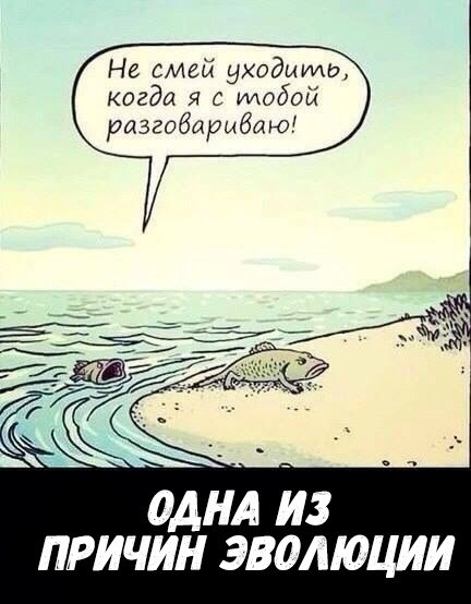    :D - 7  2018  16:43