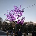 ���� ����, ����� - ��������� 7 ������ 2019 � ������ ���� ����������