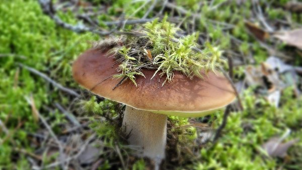  ! - 7  2018  10:08 - 2