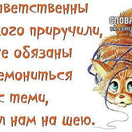 ���� ��� ���������, ���� - ��������� 24 ������� 2018