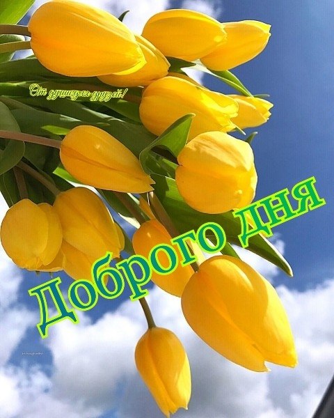   ,    . - 10  2019  15:55 - 2