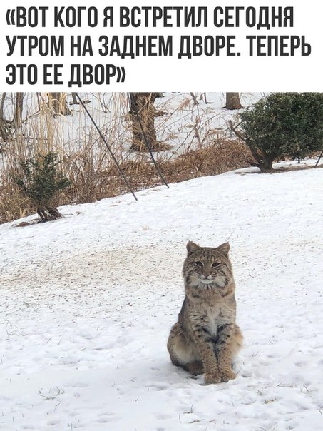 ~**~ - 19  2019  17:11