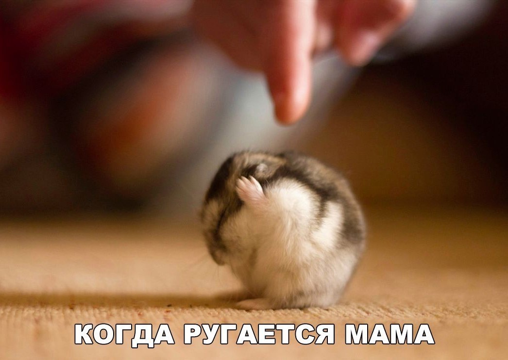    :D - 24  2018  16:47