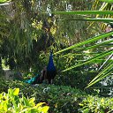 ���� ����� ���������, ����-����, 43 ���� - ��������� 5 ����� 2019 � ������ ���� ����������