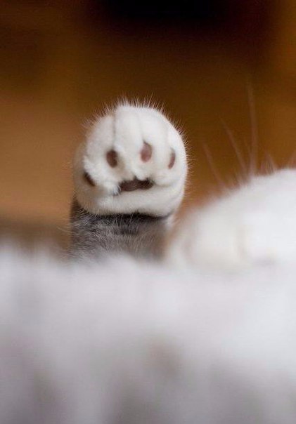 ...  ...  ,  .    .  , 