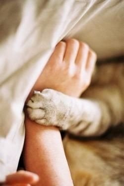 ...  ...  ,  .    .  , 