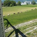 ������ �� ������� ���� ����������