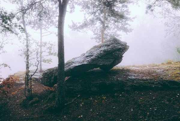Учёные пришли к выводу, что природа Урала лучшее место чтобы подумать о том, куда катится ваша ...