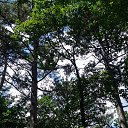  , , 60  -  4  2018   ,  ,04.08.18.