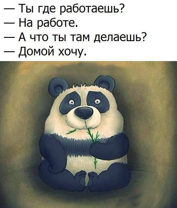 Vladislav Maznichenko - 21 ������ 2019 � 17:16 - 2