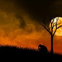 ���� Artem, �������, 37 ��� - ��������� 9 ������ 2019 � ������ ���� ����������