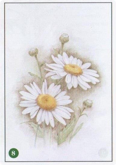  poa poa - 8