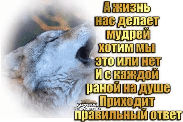 ,    ,    ,  .    - . ... - 2