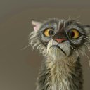  Robert, , 40  -  28  2018    