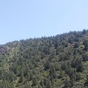 ���� �������, ������, 33 ���� - ��������� 10 ������ 2019 � ������ ������ ��������