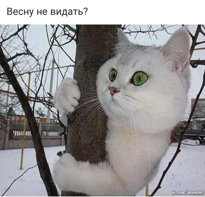  - 17  2019  14:45
