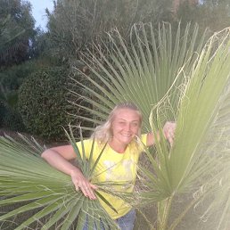 �������, ������, 46 ���