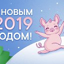  ,  -  8  2019    