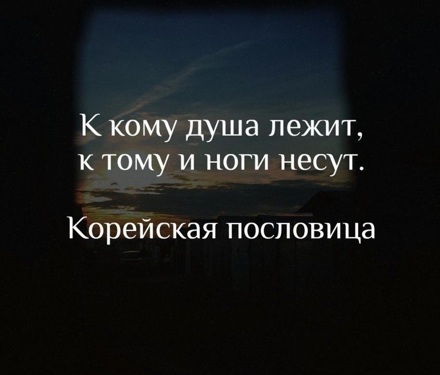  |    