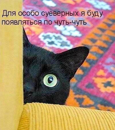    - 13  2019  17:06