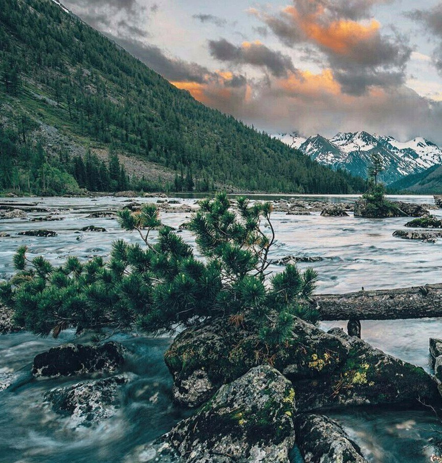 Aa