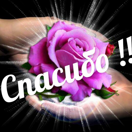   ,    . - 26  2019  09:03